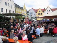 Partnerschaftsfest Schrobenhausen 2009