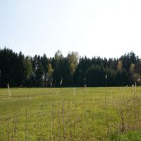 0994088410